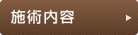 施術内容